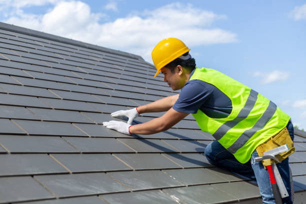 Best Roof Gutter Cleaning  in Edgewood, NM